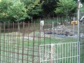 IMG_20250630_163817