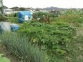 IMG_20250622_165203 - コピー