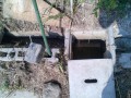 IMG_20250701_084043