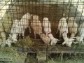 IMG_20250701_084637