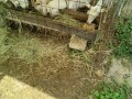 IMG_20250701_084641