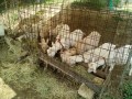 IMG_20250701_084644