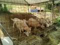 IMG_20250701_084658