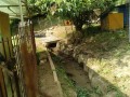 IMG_20250701_084705