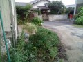 IMG_20250701_183301