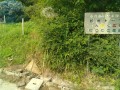 IMG_20250702_082132