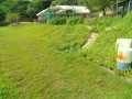 IMG_20250702_082206