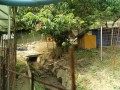 IMG_20250702_082803