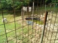 IMG_20250702_082818