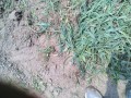 IMG_20250702_110222