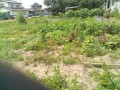 IMG_20250702_110227