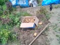 IMG_20250702_111431