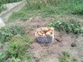 IMG_20250702_111434
