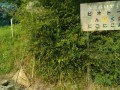 IMG_20250703_075359