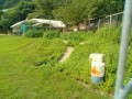 IMG_20250703_075459