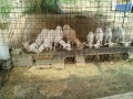 IMG_20250703_075903