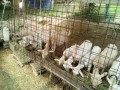 IMG_20250703_075916