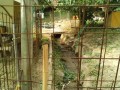 IMG_20250703_075930