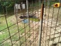 IMG_20250703_075957