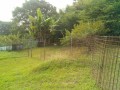 IMG_20250703_080034