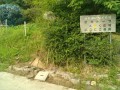 IMG_20250704_081112
