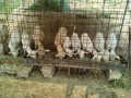 IMG_20250704_081510