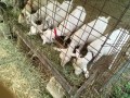 IMG_20250704_081517