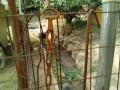 IMG_20250704_081529