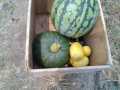 IMG_20250704_105817
