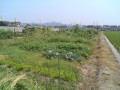 IMG_20250704_105824