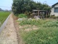 IMG_20250704_105828