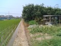 IMG_20250704_105831