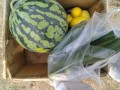 IMG_20250704_110332