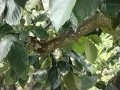 IMG_20250704_112424