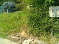 IMG_20250705_082250