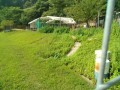 IMG_20250705_082356