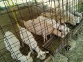 IMG_20250705_082625