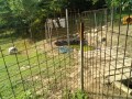 IMG_20250705_082651