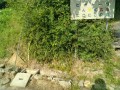 IMG_20250706_075747