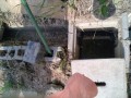 IMG_20250706_075752