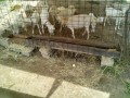 IMG_20250706_084113