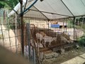 IMG_20250706_084123