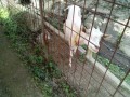 IMG_20250706_084131