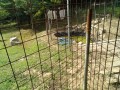 IMG_20250706_084139