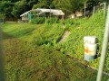 IMG_20250707_060503