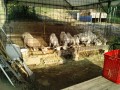 IMG_20250707_061713