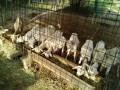IMG_20250707_061724