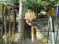 IMG_20250707_061734