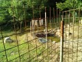 IMG_20250707_061754