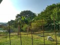 IMG_20250707_061756
